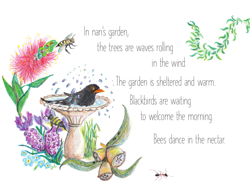 Drawing of a black bird bathing in a birdbath. Writing says "In nan's garden, the trees are waves rolling in the wind. The garden is sheltered and warm. Blackbirds are waiting to welcome the morning. Bees dance in the nectar."