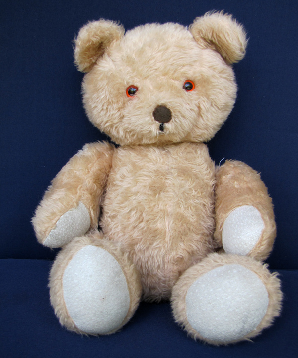 Portrait of Dunstan, a plush teddy bear with cream fur and orange eyes.