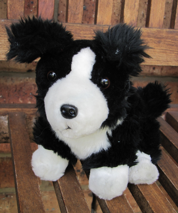 Portrait of Theodore, a plush dog with black and white fur.